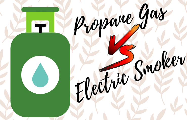 Propane Gas vs Electric Smoker