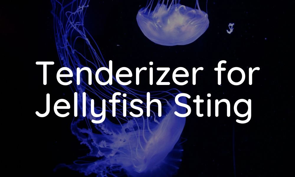 Tenderizer for Jellyfish Sting